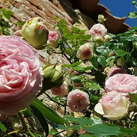 Hébergement de vacances Le Clos Des Songes *